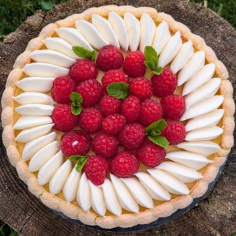 Charlotte aux framboises 2