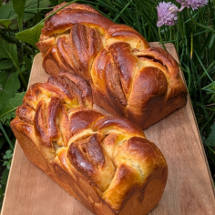 Babka pralinée