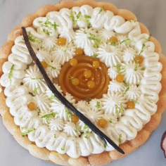 Charlotte exotique 2